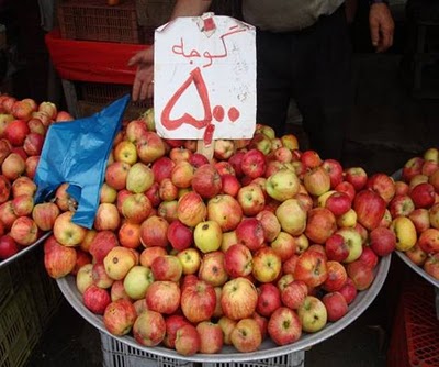 عکس های بامزه از ایران عکس های بامزه از ایران