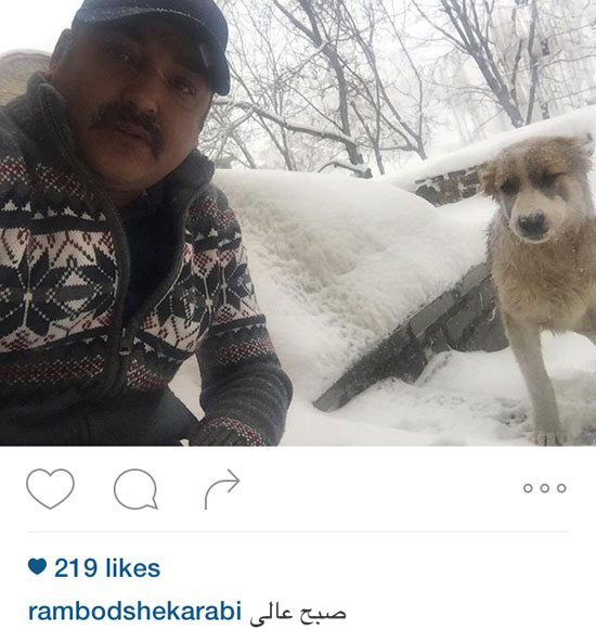 تازه ترین عکس های بازیگران ایرانی در 2016 تازه ترین عکس های بازیگران ایرانی در 2016