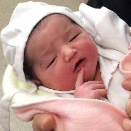 اخبار فرهنگی,اخبار هنرمندان,بهنوش بختیاری اخبار فرهنگی,اخبار هنرمندان,بهنوش بختیاری