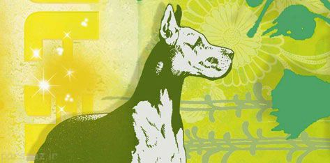 فال و طالع بینی بسیار جالب سال (2016-1395) فال و طالع بینی بسیار جالب سال (2016-1395)