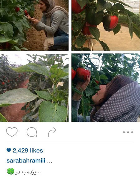 اخبارفرهنگی,اخبار بازیگران,عکس بازیگران