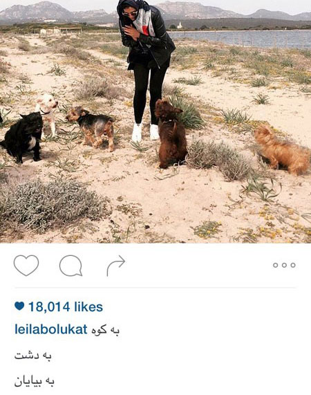 اخبارفرهنگی,اخبار بازیگران,عکس بازیگران