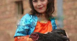 کشته شدن دنیا ویسی بر اثر ریزش دیوار مدرسه