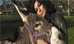 ازدواج انسان ها با حیوانات