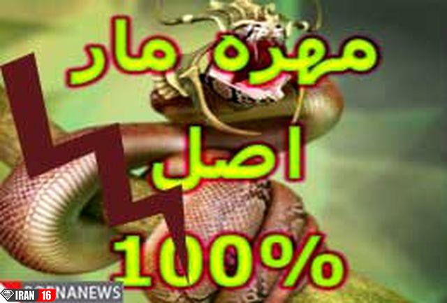 خرید مهره مار اصل هندی و ارزان قیمت