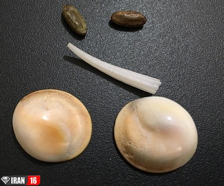 خرید مهره مار اصل هندی و ارزان قیمت