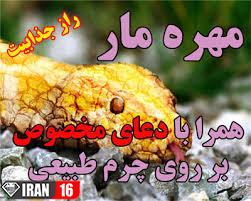 خرید مهره مار اصل هندی و ارزان قیمت