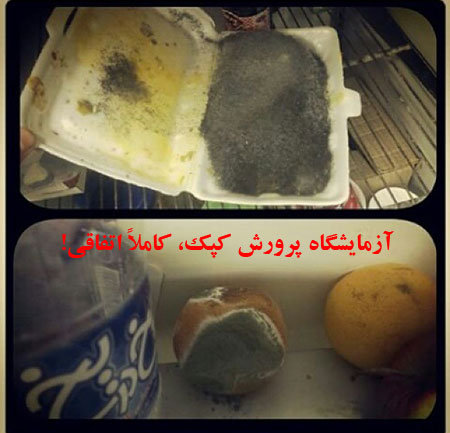 عکس: ماجراهای دانشجویی ایرانی! (7) عکس: ماجراهای دانشجویی ایرانی! (7)