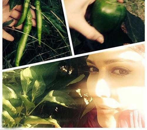 فعالیت چهره های ایرانی سرشناس در شبکه های اجتماعی