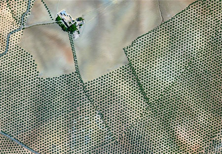 اخبار,اخبار گوناگون ,تصاویر ماهوارهای اخبار,اخبار گوناگون ,تصاویر ماهوارهای