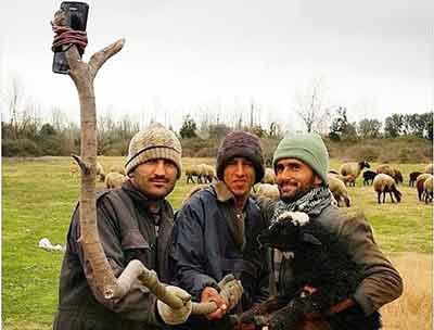 اخبار,اخبار اجتماعی,اخبار سالارپولاد