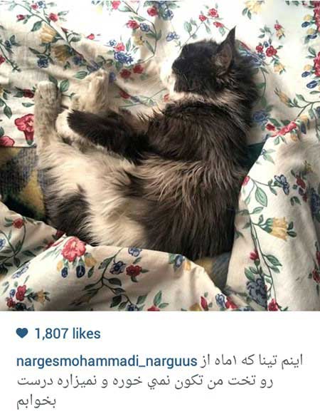 اخبار,اخبار فرهنگی ,بازیگران ایرانی