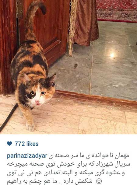 اخبار,اخبار فرهنگی ,بازیگران ایرانی