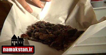 خوردن سوسک , معلم ملخ خوار , خوردن عقرب کباب شده