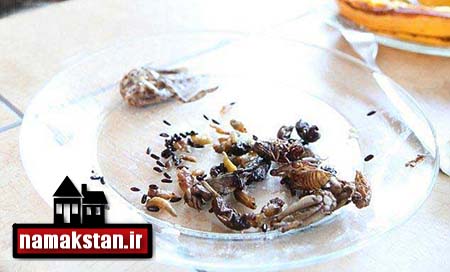 خوردن سوسک , معلم ملخ خوار , خوردن عقرب کباب شده