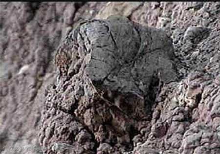 کشف کشتی نوح وداستان های حیرت آور آن + تصاویر کشف کشتی نوح وداستان های حیرت آور آن + تصاویر