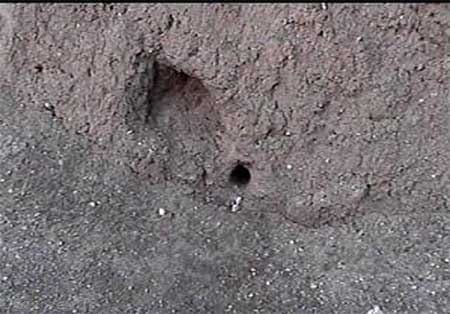 کشف کشتی نوح وداستان های حیرت آور آن + تصاویر کشف کشتی نوح وداستان های حیرت آور آن + تصاویر