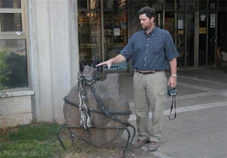 کشف کشتی نوح وداستان های حیرت آور آن + تصاویر کشف کشتی نوح وداستان های حیرت آور آن + تصاویر