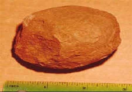 کشف کشتی نوح وداستان های حیرت آور آن + تصاویر کشف کشتی نوح وداستان های حیرت آور آن + تصاویر