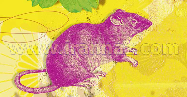 فال سال 1394 ، سال گوسفند (سال بز) فال سال 1394 ، سال گوسفند (سال بز)