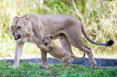 عکس نوشته های ظنز و خنده دار سری دهم عکس نوشته های ظنز و خنده دار سری دهم