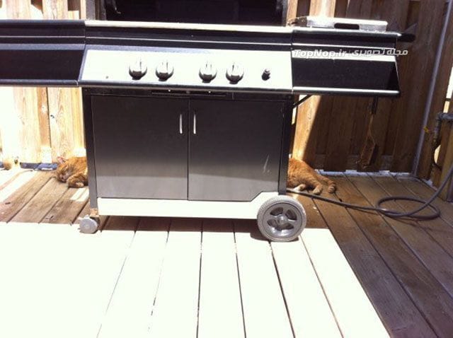 عکس های نکته دار