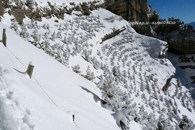 عکس های نکته دار