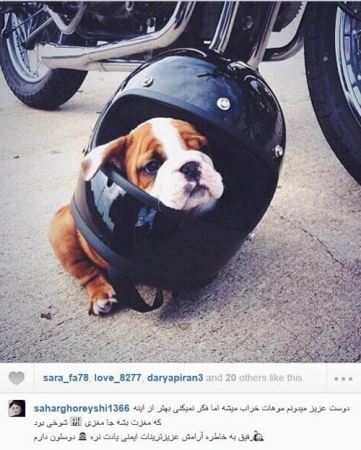 شوخی عجیب سحرقریشی با موتورسواران (تصویر) شوخی عجیب سحرقریشی با موتورسواران (تصویر)