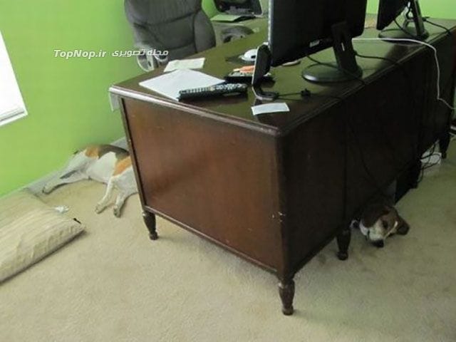 عکس های نکته دار