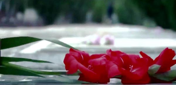 کلیپ تأسف بار خواننده لس آنجلسی (عکس)