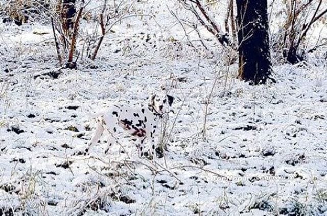 عکس های نکته دار