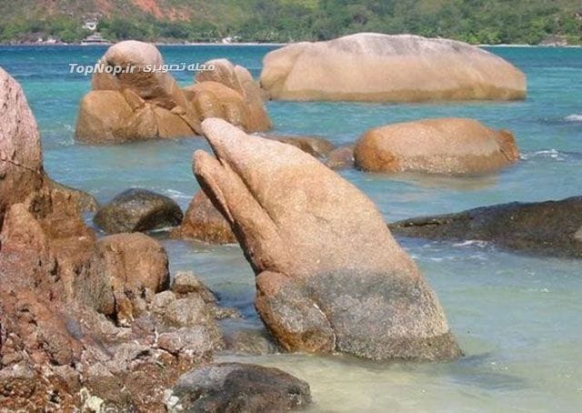 عکس های نکته دار