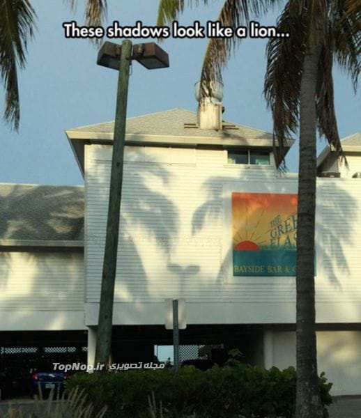 عکس های نکته دار