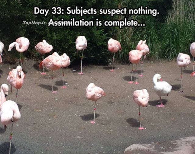 عکس های نکته دار