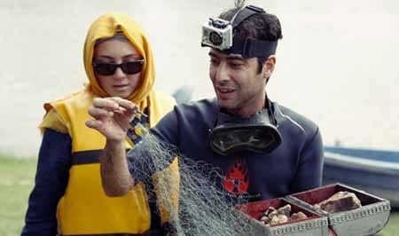 اخبار,اخبار فرهنگی,مروری بر زندگی زوج های خوشبخت سینمای ایران