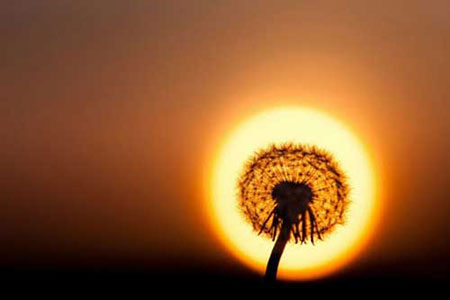 عکس های جدید ,تصاویر دیدنی عکس های جدید ,تصاویر دیدنی