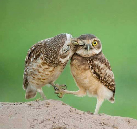 عکس های جدید ,تصاویر دیدنی عکس های جدید ,تصاویر دیدنی