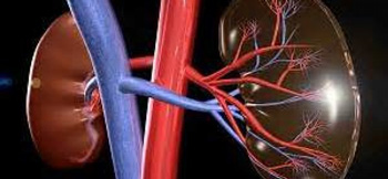 آسم و آلرژی, نرمی استخوان