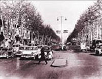 خیابان ولیعصر,قدیمی ترین خیابان تهران,طولانی‌ترین خیابان خاورمیانه