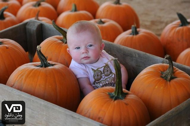 عکس های جالب