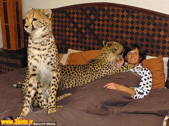 تصاویر و عکس های زیبا و دیدنی از حیوانات وحشی و اهلی 2015 جدید