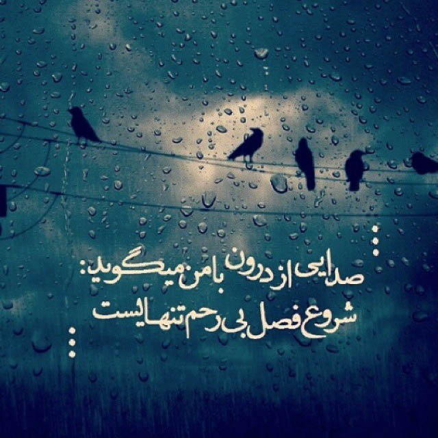 عکس های عاشقانه جدید 2015