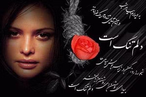 a-selection-of-photo-love-notes