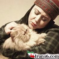 شهره لرستانی , همسر شهره لرستانی , شکست عشقی شهره لرستانی