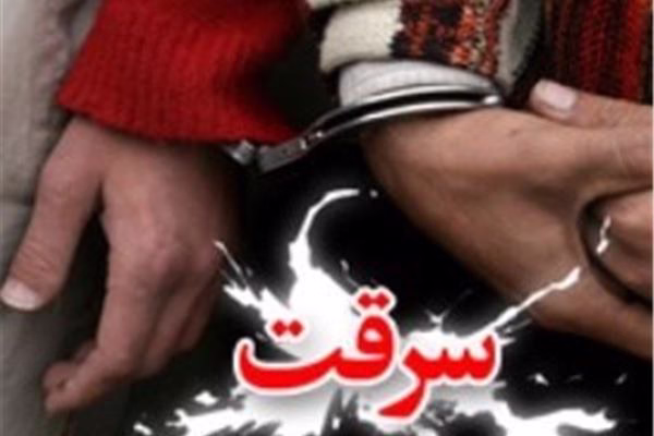 سرقت؛ مادر و دختری با اصرار صاحب بنگاه به ساختمان مسکونی رفتند / به محض ورود به مجتمع با صحنه باور نکردنی رو به رو شدند