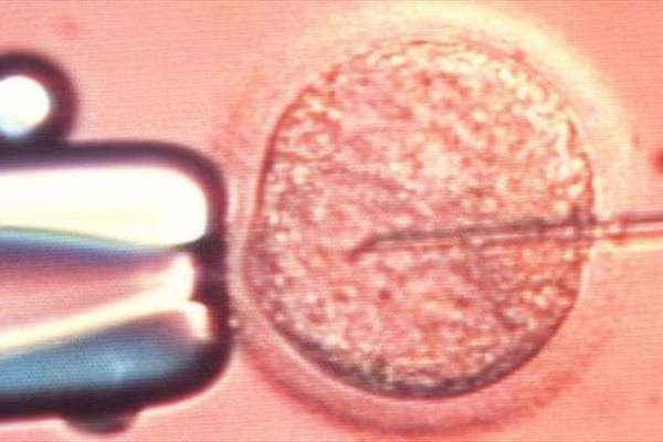 %d8%a7%d9%82%d8%af%d8%a7%d9%85-%d8%ba%db%8c%d8%b1%d8%a7%d8%ae%d9%84%d8%a7%d9%82%db%8c-%d9%85%d8%aa%d8%ae%d8%b5%d8%b5-%d9%86%d8%a7%d8%a8%d8%a7%d8%b1%d9%88%d8%b1%db%8c-%d8%a8%d8%b1%d8%a7%db%8c-%d8%a8