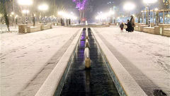 نقشه شوم پسر همسایه برای دختر 16 ساله در پارک لو رفت