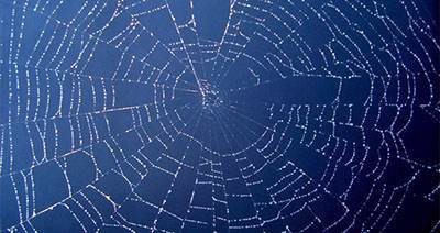 هکر ناشناس و مبارزه طوفانی با سایت های غیراخلاقی