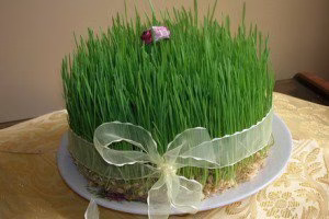 آموزش 3 مدل سبزه عید