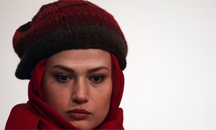 رابطه شريفي‌نيا با بازيگران خارجي/ عشق اول و آخر شهاب حسيني!+تصاوير